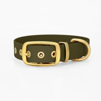 Olivgrüner Haustierhalsband mit einer goldenen Schnalle und einem Metallring, mit dekorativen Löchern entlang des Riemens.