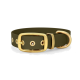 Olivgrüner Haustierhalsband mit einer goldenen Schnalle und einem Metallring, mit dekorativen Löchern entlang des Riemens.