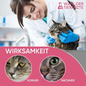 Tierarzt in weißem Kittel und blauen Handschuhen untersucht eine getigerte Katze; pinker Banner zeigt 'WIRKSAMKEIT', 'VORHER', 'NACHHER' und 'WAHL DER TIERÄRZTE'