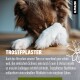 Ein trauriger braun-weißer Hund, der seinen Kopf auf seinen Pfoten ruht, mit Text über emotionalen Schmerz bei Haustieren und einem vorgeschlagenen Erholungsprodukt.