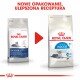 Porównanie opakowań karmy dla kotów Royal Canin: po lewej "Indoor +7 years" a po prawej "Home Life Indoor 7+" z ulepszoną formułą.