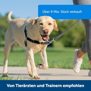 Ein glücklicher Labrador an der Leine geht mit einer Person in Sportkleidung, mit dem Text: "Über 9 Mio. Stück verkauft" und "Empfohlen von Tierärzten."