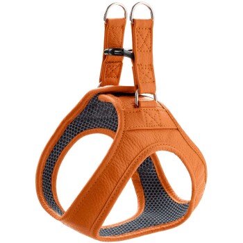 Geschirr Hilo orange XXS-XS