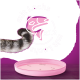 Der gestreifte Schwanz einer Katze ist neben einer rosa Schüssel auf einer Holzoberfläche sichtbar, mit dem Text 'mit Lachs x12' auf einem lila Hintergrund.