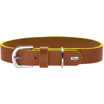 Braunes Lederhalsband mit gelber Einfassung, silberner Schnalle und D-Ring, Metallanhänger mit 'HUNTER'-Logo.