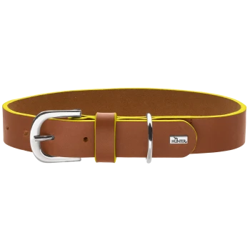 Braunes Lederhalsband mit gelber Einfassung, silberner Schnalle und D-Ring, Metallanhänger mit 'HUNTER'-Logo.