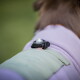 Nahaufnahme eines braunen Hundes, der eine lila Jacke trägt, an der ein kleines schwarzes Clip-Gerät befestigt ist.