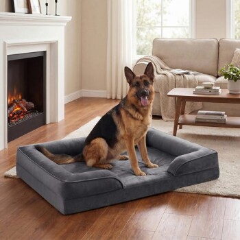 Deutscher Schäferhund sitzt auf einem großen, grauen orthopädischen Hundebett in einem gemütlichen Wohnzimmer neben Kamin und Sofa.