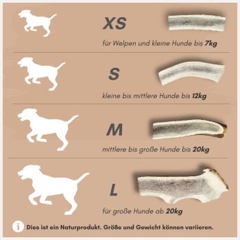Größenleitfaden für Hundekauartikel mit Silhouetten und Geweihkauartikeln für XS (bis 7 kg), S (bis 12 kg), M (bis 20 kg) und L (über 20 kg).