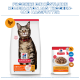 Hill's Science Plan Katzenfutter: Trockenfuttersack (Adult 1–6) mit Katzenbild und Hühner‑Icon; Nassfutterbeutel ‚chunks in sauce with chicken‘
