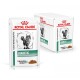 Royal Canin Veterinary Diet Diabetiker Katzenfutterbeutel mit einem Katzenbild, beschriftet mit "DIABETIKER" und "DÜNNE SCHEIBEN IN SOßE."