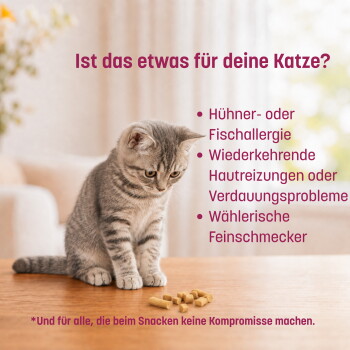 Darum KatKare! — KatKare-Dose, '4+ Wochen' mit Häkchen bei Abovorteil, Gesundheitsvorteil, Monoproteine, Extra Vitamin‑C; bei herkömmlichen Produkten steht 'Nein' und X