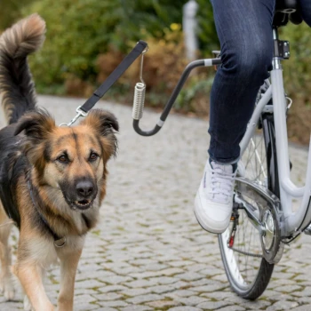Eine Person, die mit einem Hund an der Leine, der am Fahrrad befestigt ist, auf einem gepflasterten Weg umgeben von Grünflächen fährt.