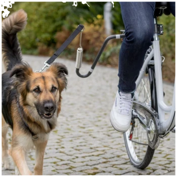 Eine Person, die mit einem Hund an der Leine, der am Fahrrad befestigt ist, auf einem gepflasterten Weg umgeben von Grünflächen fährt.