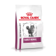 Royal Canin Early Renal Katzenfutterbeutel mit einer Illustration einer grauen getigerten Katze, beschriftet mit 'VETERINARY' und 'EARLY RENAL.'