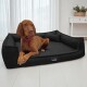 Brauner Hund liegt auf einem schwarzen Tierlando-Hundebett in einem hellen Raum mit weißen Vorhängen und einem weißen Tisch mit Pflanze.