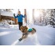 Ein Hund, der eine blaue Weste und Stiefel trägt, läuft fröhlich durch eine verschneite Landschaft, während eine Person in einer blauen Jacke hinter ihm geht.