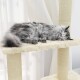 Eine flauschige graue Katze schläft friedlich auf einem weichen, cremefarbenen Katzenbaum, mit durchsichtigen weißen Vorhängen im Hintergrund.
