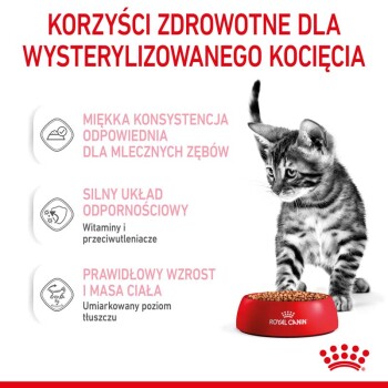 Zabawny szary kotek tabby obok czerwonej miski z karmą dla kotów Royal Canin, z tekstem podkreślającym korzyści zdrowotne dla wykastrowanych kotów w języku polskim.