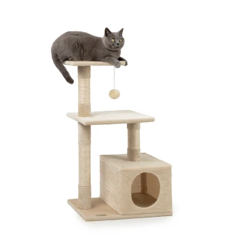 Kratzbaum Höhe 85 cm beige Eine graue Katze, die auf einem mehrstöckigen beigen Kratzbaum mit einem hängenden Spielzeug entspannt, mit einem gemütlichen, würfelförmigen Versteck und Kratzpfosten.