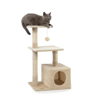 Eine graue Katze, die auf einem mehrstöckigen beigen Kratzbaum mit einem hängenden Spielzeug entspannt, mit einem gemütlichen, würfelförmigen Versteck und Kratzpfosten.