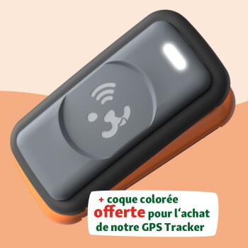 Avis / test - MINI TRACEUR LOCALISATION GPS GSM SÉCURITÉ