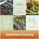 Fütterungs-Collage: Meisen an einem verschneiten Futterspender, Schmalzring mit einem Specht; deutsche Überschrift „Empfohlene Fütterung“.