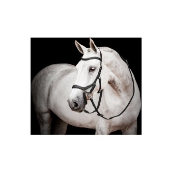 New Micklem Competition Bridle