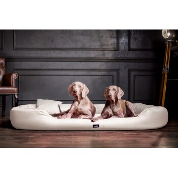 Zwei Weimaraner-Hunde ruhen sich auf einem plüschigen, weißen Hundebett in einem stilvollen Raum mit dunklen Wänden und einem Vintage-Stuhl in der Nähe aus.