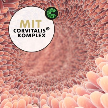 Nahaufnahme einer strukturierten Darmschleimhaut mit einem runden Etikett, das "FÜR EINE STABILE DARM-BARIERRE" (Für eine stabile Darmschicht) besagt.