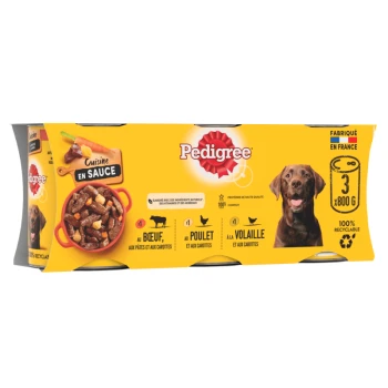 Paquet de nourriture pour chien Pedigree avec trois boîtes de 800 g en sauce, avec des saveurs : bœuf, poulet et volaille, et un chien souriant sur le côté.