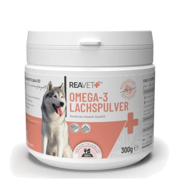Behälter mit REAVET Omega-3 Lachs-Pulver für Hunde, mit einem Husky auf dem Etikett, mit Text, der Qualität und ernährungsphysiologische Vorteile hervorhebt.