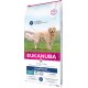 Eukanuba Daily Care Hundefutterbeutel für übergewichtige Hunde, mit einem Golden Retriever, mit Texten, die "50% weniger Fett" und "Erwachsene" für alle Rassen hervorheben.