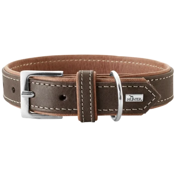 Brauner Leder-Hundehalsband mit einer silbernen Schnalle und Nähdetails, ausgestattet mit einem kleinen "HUNTER"-Logoanhänger.