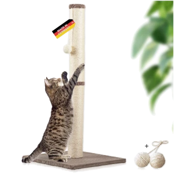 Getigerte Katze kratzt an einem hohen beigen Sisal-Kratzpfosten mit einem "Made in Germany"-Etikett und zwei Seilbällen vor weißem Hintergrund.