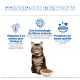 Chat tigré avec une gamelle de croquettes sous le titre « PRINCIPAUX BIENFAITS » et trois étiquettes d'avantages en français (vitamines, fibres, protéines).