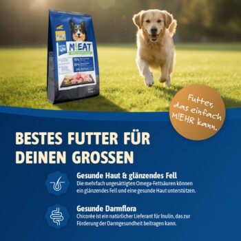 Golden Retriever läuft auf Gras neben einer Tüte M!EAT Hundefutter mit deutschem Text über gesunde Haut und Verdauung.