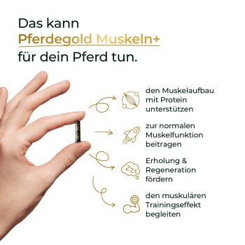 Hand, die ein Pellet hält, neben der Überschrift 'Das kann Pferdegold Muskeln+ für dein Pferd tun.' mit Symbolen für Muskelunterstützung und Regeneration.