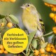 Ein gelber Vogel auf einem Ast mit orangefarbenen Beeren und einem runden Etikett mit der Aufschrift "Verhindert ein Verblassen des gelben Gefieders."