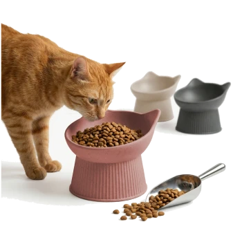 Orange gestreifte Katze schnuppert an einer pinken, erhöhten, katzenförmigen Schüssel mit Trockenfutter; Metallschaufel und zwei weitere Schüsseln im Hintergrund.