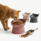 Orange gestreifte Katze schnuppert an einer pinken, erhöhten, katzenförmigen Schüssel mit Trockenfutter; Metallschaufel und zwei weitere Schüsseln im Hintergrund.