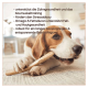 Ein Beagle, der auf einem Stock kaut, mit Text über die Vorteile: Zahngesundheit, Stressabbau, Omega-3 für die Haut und langlebige Haltbarkeit.