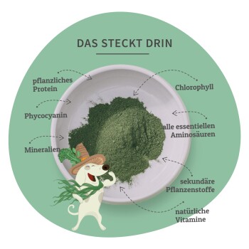 Grünes Pulver in einer weißen Schüssel mit einem Cartoon-Hund in einem Hut, beschriftet mit verschiedenen Zutaten einschließlich Protein und Vitaminen.