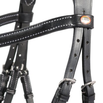 Nahaufnahme eines schwarzen Leder-Haustiergeschirrs mit weißen Nähten und einem Markenetikett, das verstellbare Riemen und Schnallen zeigt.