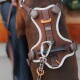 Nahaufnahme eines braunen Hundes, der ein braunes Hunter-Geschirr mit reflektierendem Besatz, orangefarbenen Details, Metallkarabiner und HUNTER-Label trägt.