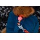 Eine Nahaufnahme des Rückens eines Hundes, der eine blaue Jacke trägt, mit einem leuchtend roten LED-Licht, das an seinem Geschirr befestigt ist, mit einem sichtbaren Ruffwear-Tag.