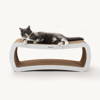 Eine grau-weiße Katze liegt auf einem modernen, geschwungenen Katzenbett mit einer hellen Holzoberfläche und einem weißen Rahmen, mit dem Markennamen "PëtRhein."