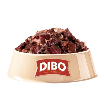 Eine Haustierfutterschüssel gefüllt mit Fleischstücken, beschriftet mit "DIBO" und dem Slogan "Für die Besten das Beste" auf Deutsch.