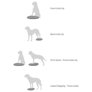 Illustration von Hundetrainingsübungen: "Vordere Gliedmaßen hoch," "Hintere Gliedmaßen hoch," "Sitzen zu Stehen," und "Seitliches Treten," mit Silhouetten von Hunden.