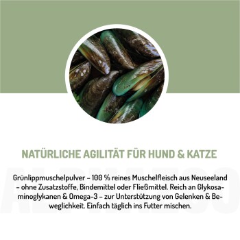 Tabelle mit täglichen Fütterungsempfehlungen für Haustiere basierend auf dem Gewicht, mit Mengen für Hunde und Katzen, markiert mit "ALPHAZOO."